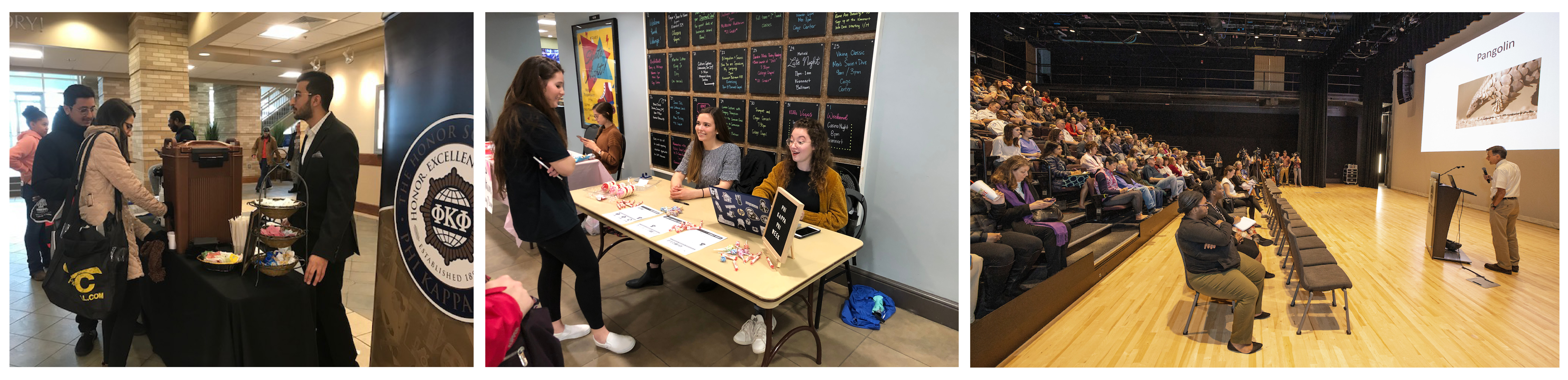 ChapUpdate May 2020 Collage 1