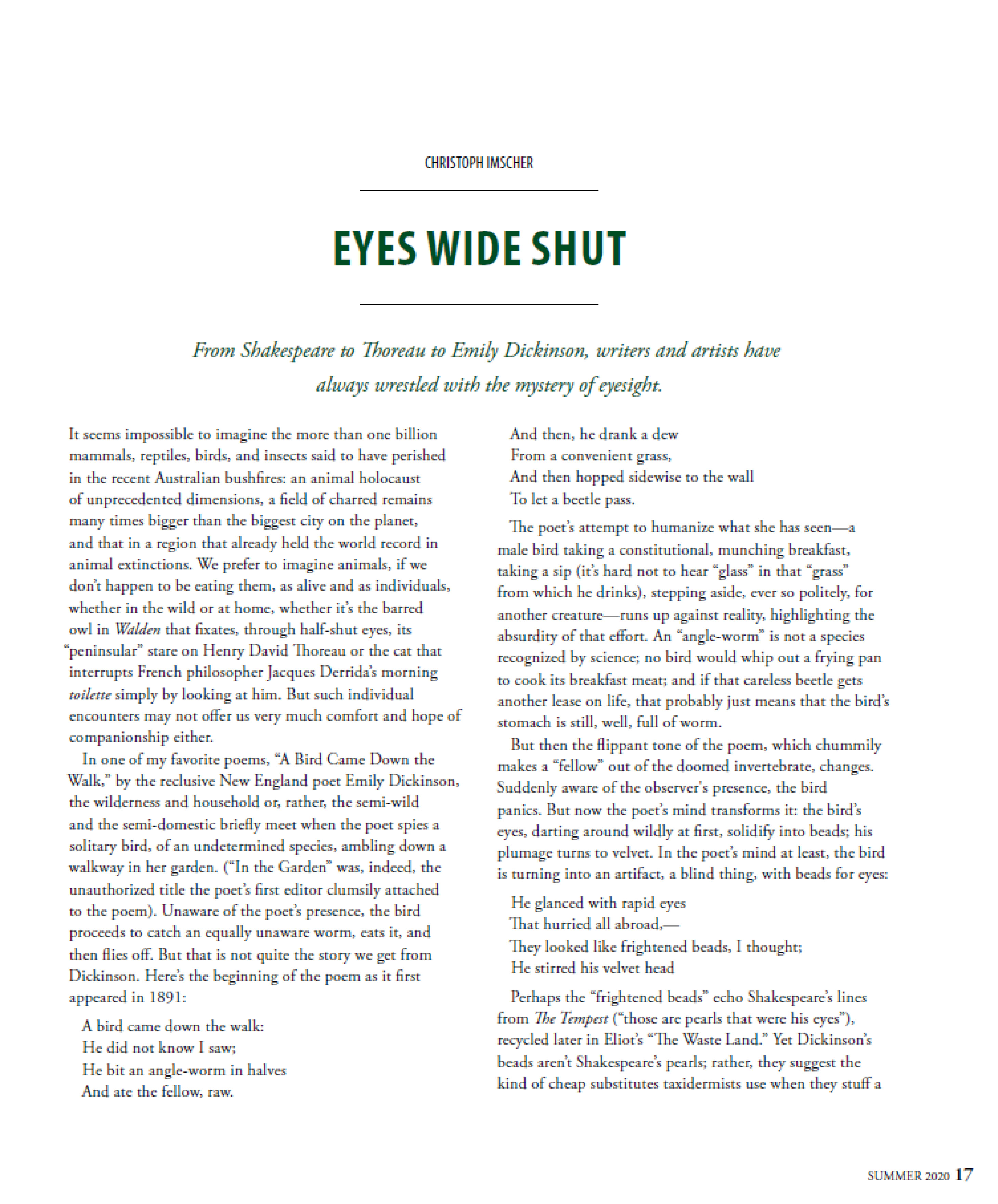 Eyes Wide Shut thumbnail